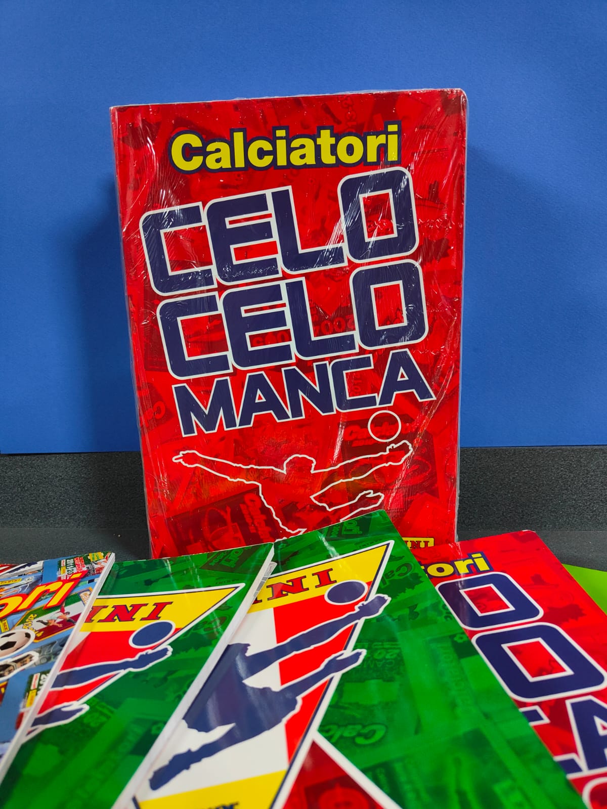 Quaderni Calciatori Panini